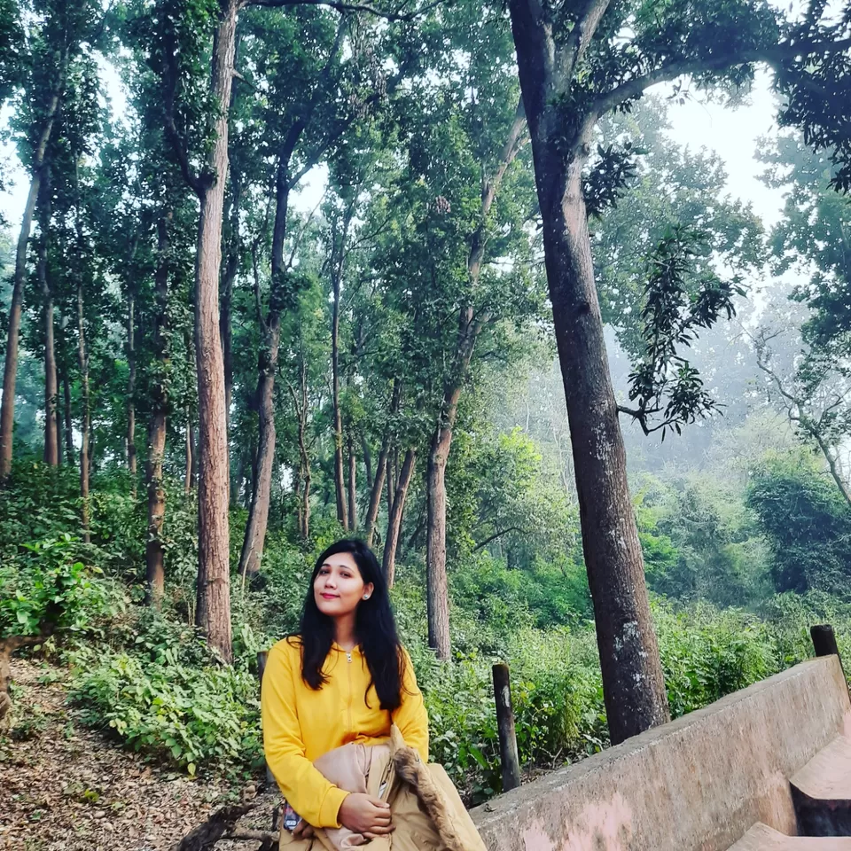 Photo of SoME TaLks with The TREEs #Besttripever by IndiantravelgiRL