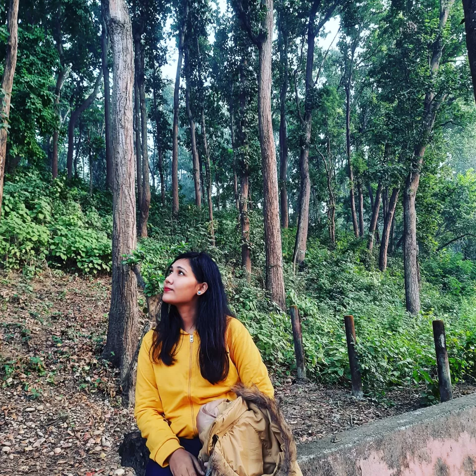 Photo of SoME TaLks with The TREEs #Besttripever by IndiantravelgiRL