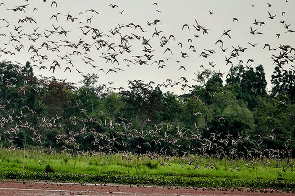 Photo of Explore the best Assam tourist places 10/12 by Nature Hunt Tours