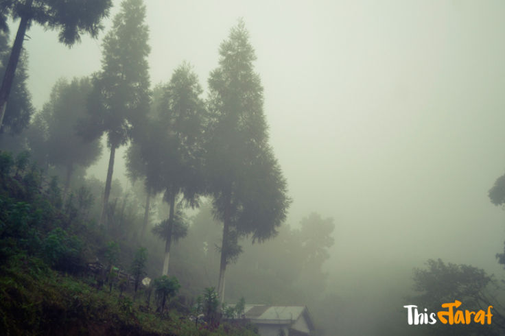 Photo of Tinchuley, Kashone Khasmahal, West Bengal, India by Priyam Agarwal