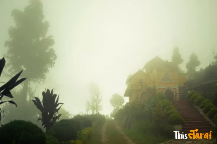 Photo of Tinchuley, Kashone Khasmahal, West Bengal, India by Priyam Agarwal