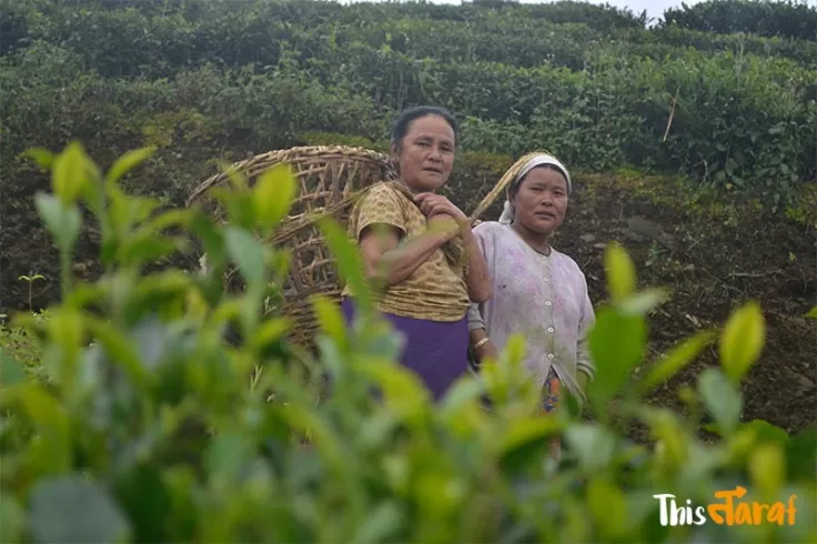 Photo of Tinchuley, Kashone Khasmahal, West Bengal, India by Priyam Agarwal