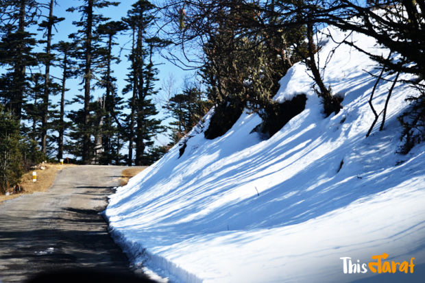 Photo of We love this happy country (And you should, too!)- Bhutan by Priyam Agarwal