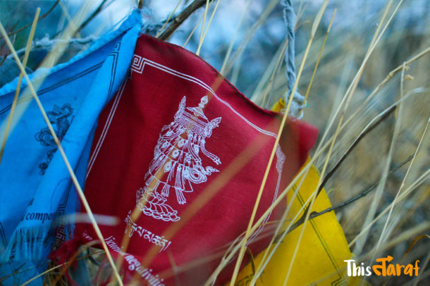 Photo of We love this happy country (And you should, too!)- Bhutan by Priyam Agarwal