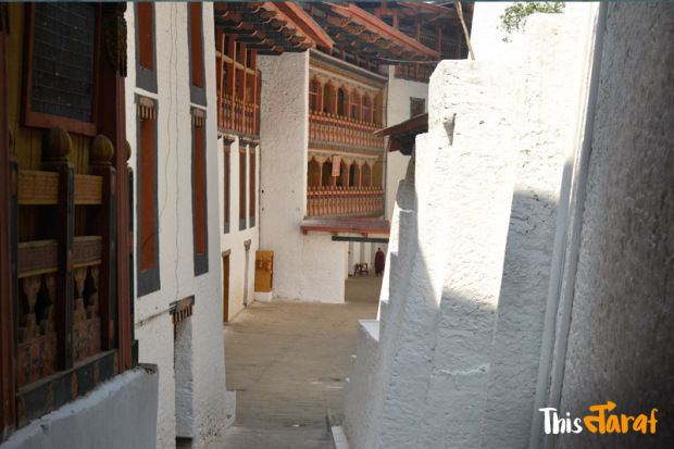 Photo of We love this happy country (And you should, too!)- Bhutan by Priyam Agarwal