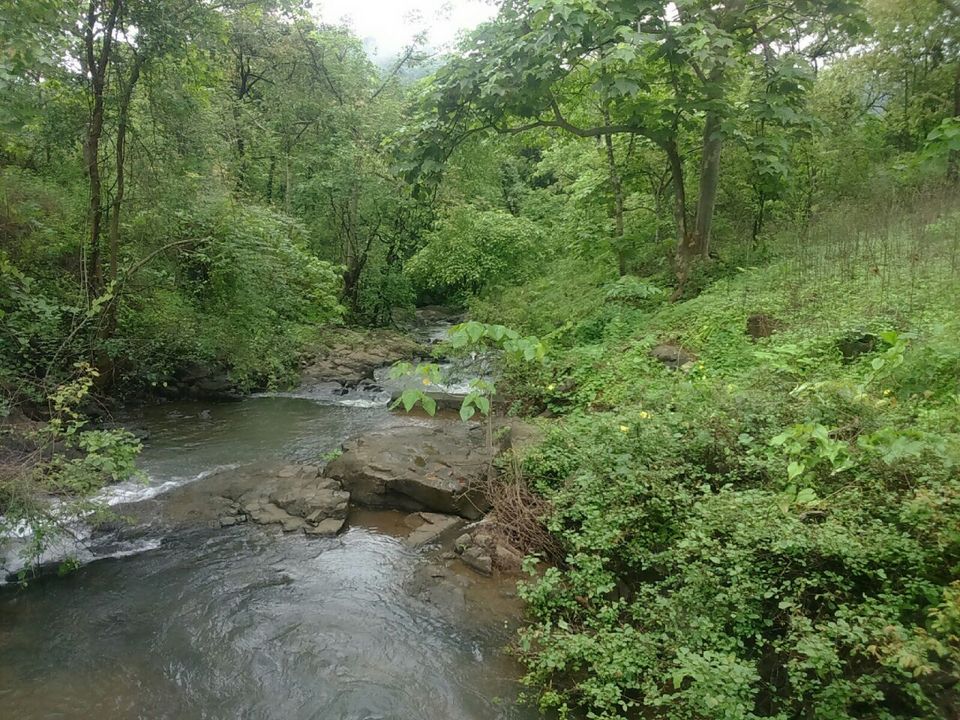 Photo of Karnala fort :How I discovered Karnala fort under 220₹. 2/9 by Siddhi Manerikar