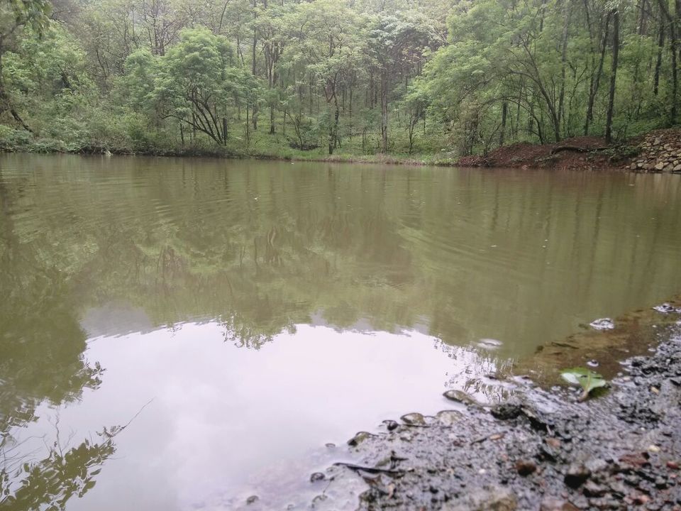 Photo of Karnala fort :How I discovered Karnala fort under 220₹. 3/9 by Siddhi Manerikar