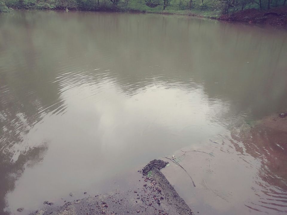 Photo of Karnala fort :How I discovered Karnala fort under 220₹. 4/9 by Siddhi Manerikar