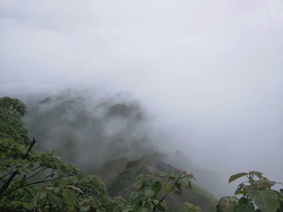Photo of Karnala fort :How I discovered Karnala fort under 220₹. 9/9 by Siddhi Manerikar