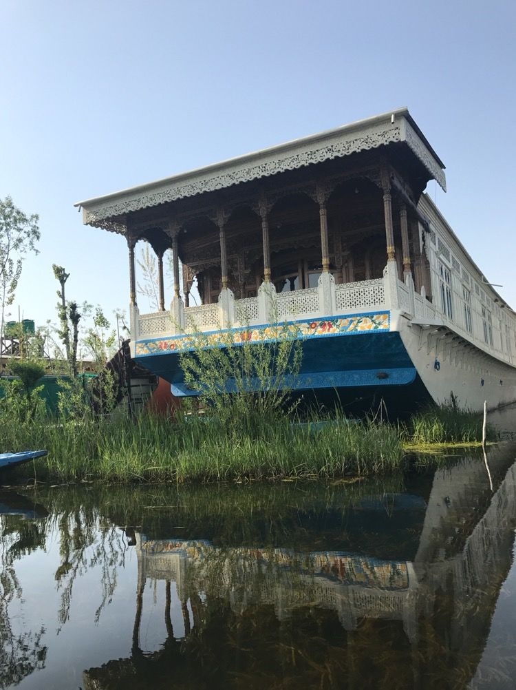 Photo of Kashmir Diaries :Dal lake- where everything is floating. 9/9 by Siddhi Manerikar