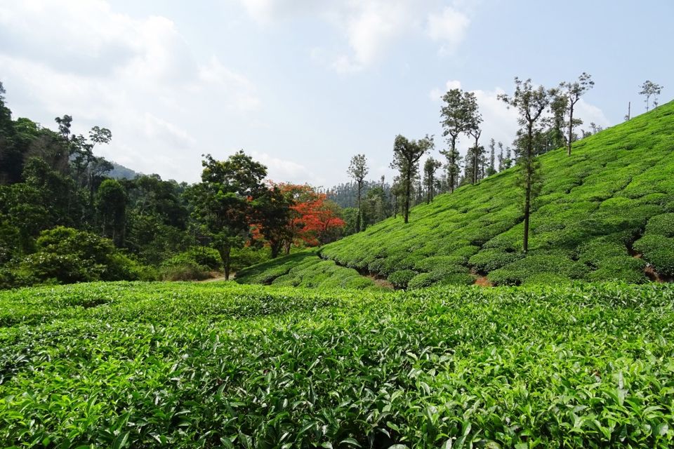 Photo of 8 Best Places to visit around Bangalore 1/8 by Akash Sharma