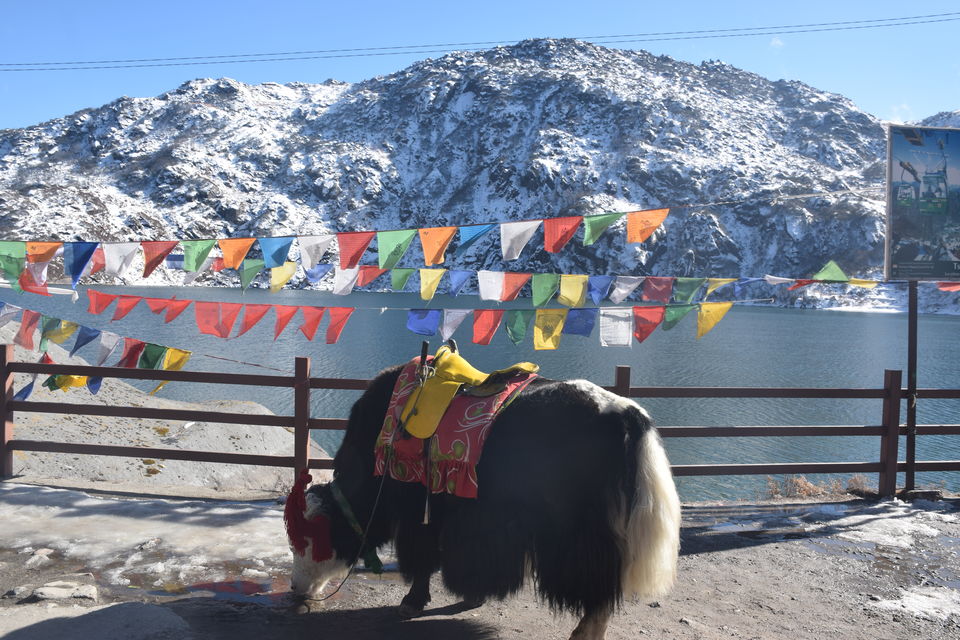 Photo of Tsomgo Lake, Sikkim, India by Guru Gayatri