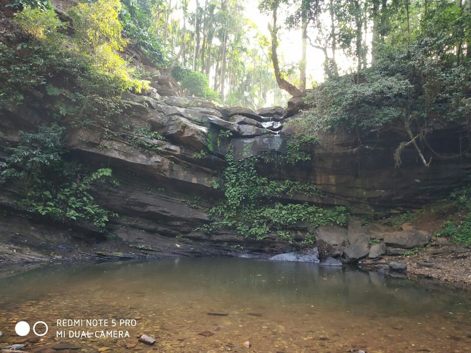 Photo of Bynekaadu Estate Resort, Karnataka, India by Rinu Thomas
