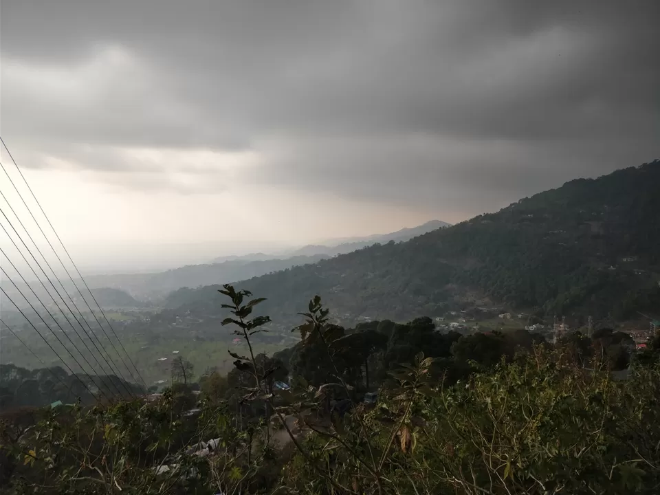 Photo of Tea Garden, Upmuhal, Dharamshala, Himachal Pradesh, India by Shashank Kharat