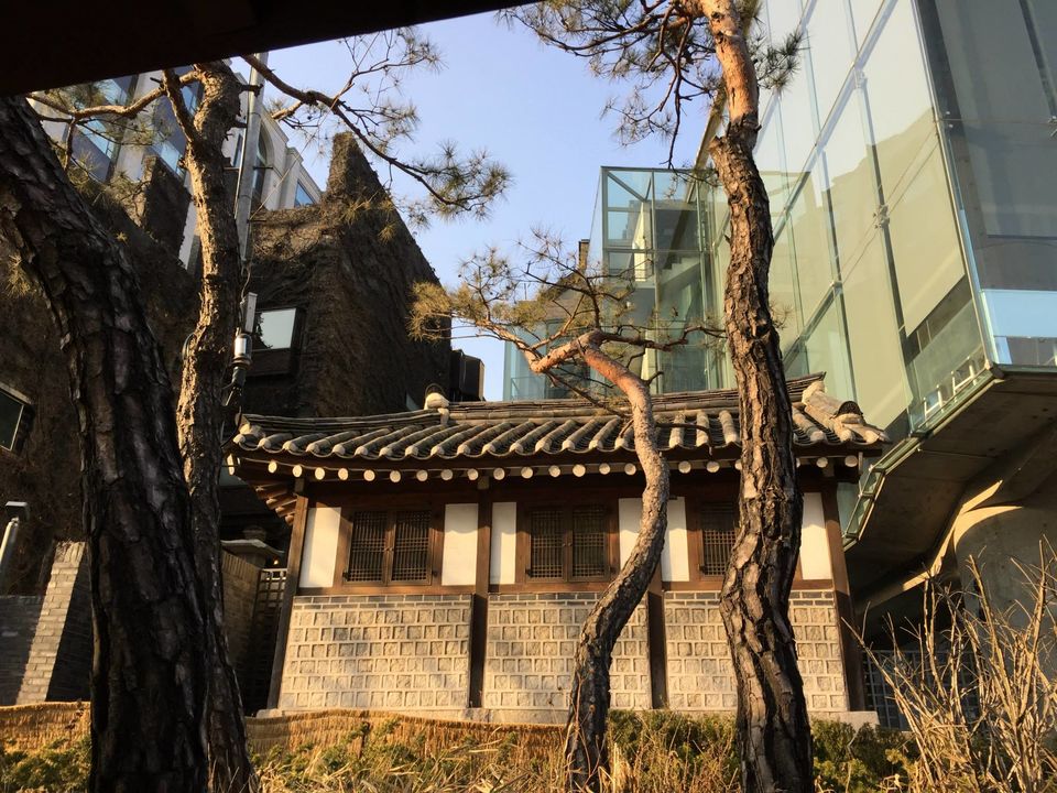 Photo of Winter Jeju Island & Seoul, South Korea FraMen Travels 30/136 by Fran Sendiong-Dacono