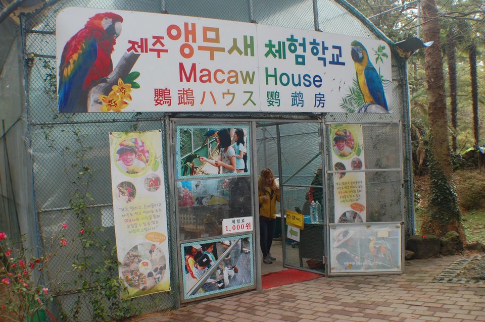 Photo of Winter Jeju Island & Seoul, South Korea FraMen Travels 97/136 by Fran Sendiong-Dacono
