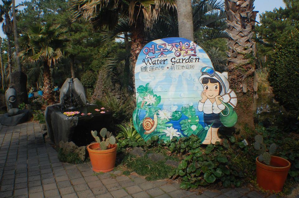 Photo of Winter Jeju Island & Seoul, South Korea FraMen Travels 100/136 by Fran Sendiong-Dacono