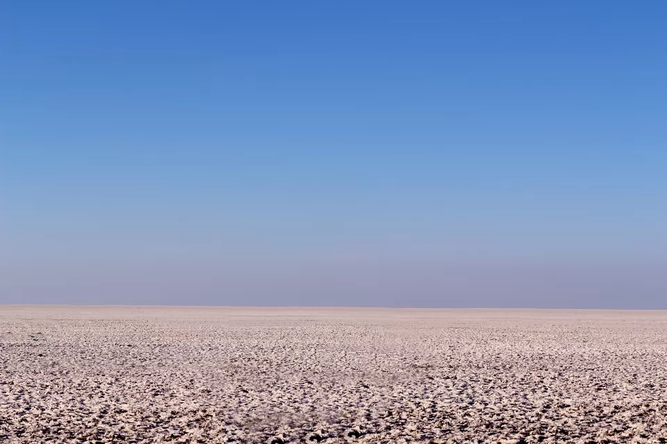 Photo of Rann of Kutch, Gujarat by Adrija Majumder