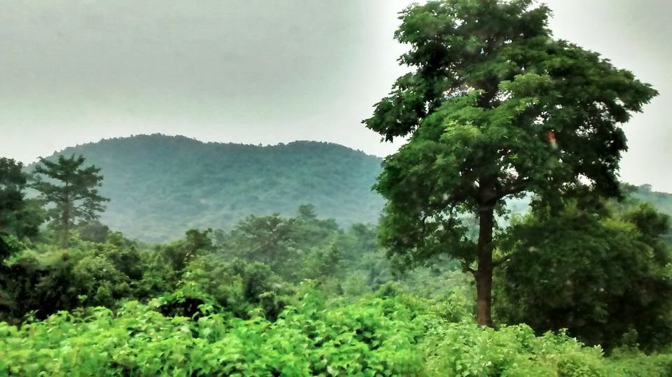 Photo of Weekend getaway to Mukutmanipur 5/5 by Srijita