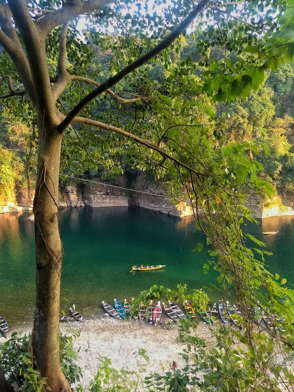 Photo of Meghalaya, India by vinay sindhe