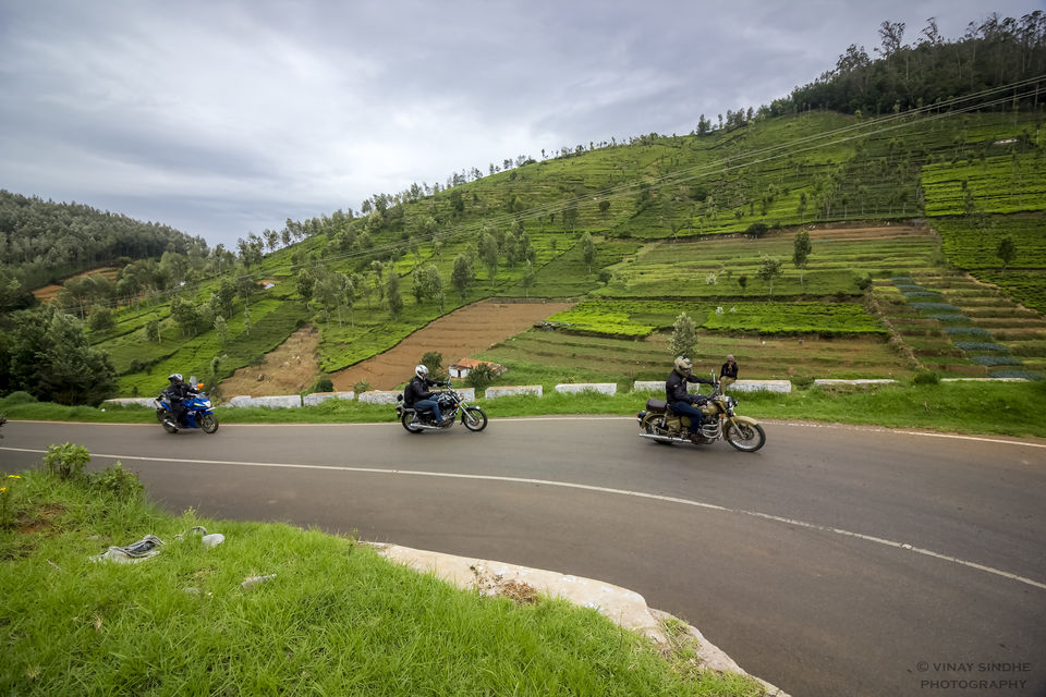 Photo of Green views and 500's thump by vinay sindhe