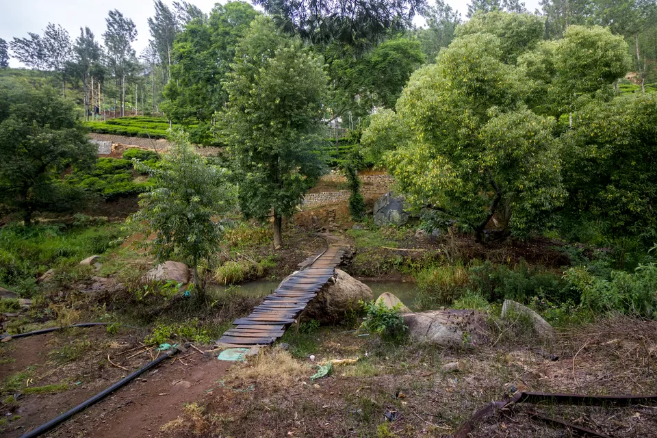 Photo of Oak Valley Resort, Kukkal, Tamil Nadu, India by vinay sindhe