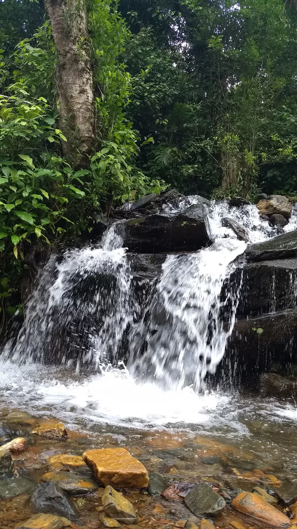 Photo of Mullodi, Karnataka, India by vinay sindhe