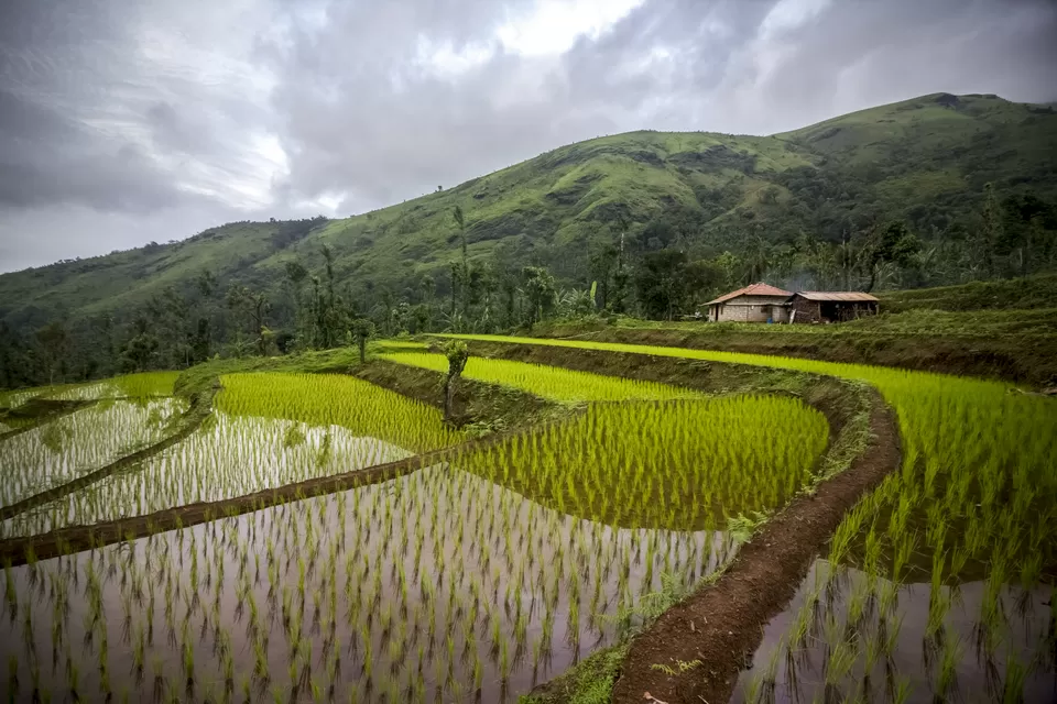 Photo of Mullodi, Karnataka, India by vinay sindhe