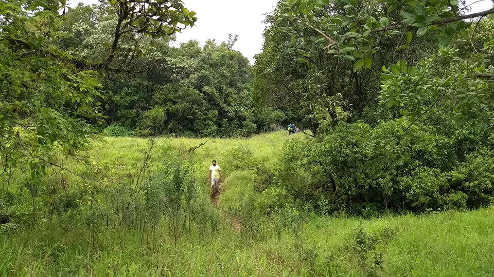 Photo of Kudremukh, Karnataka, India by vinay sindhe