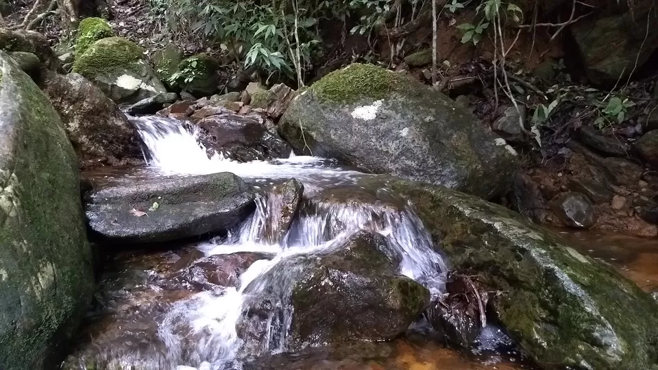 Photo of Kudremukh, Karnataka, India by vinay sindhe