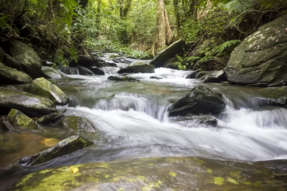 Photo of Kudremukh, Karnataka, India by vinay sindhe