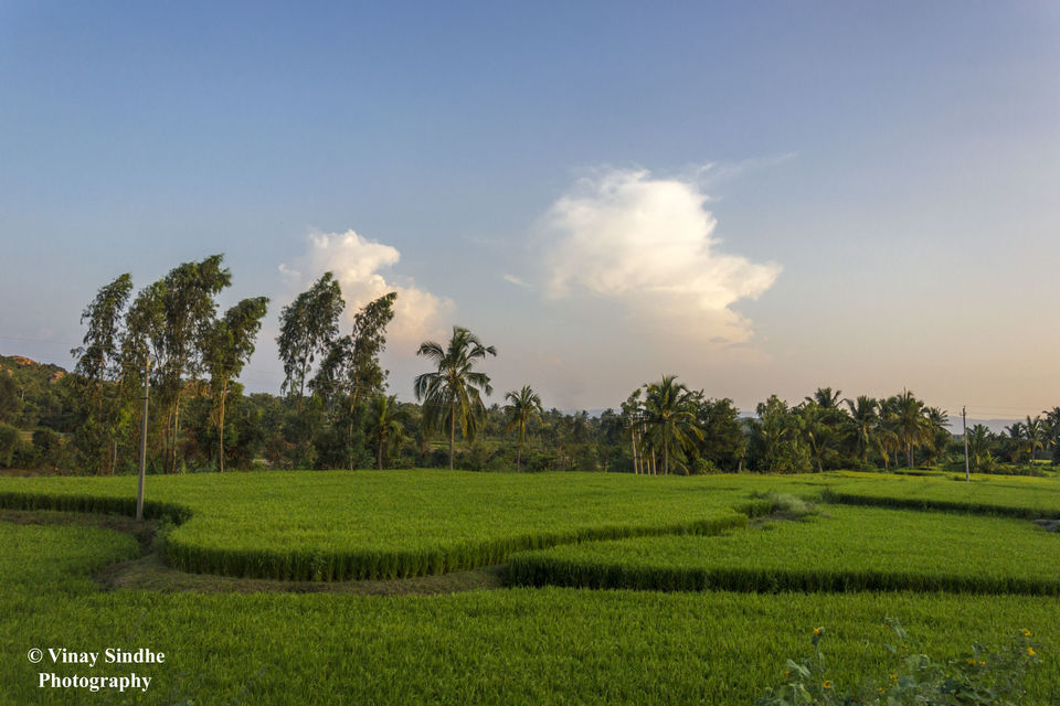 Photo of Sanapur, Karnataka, India by vinay sindhe