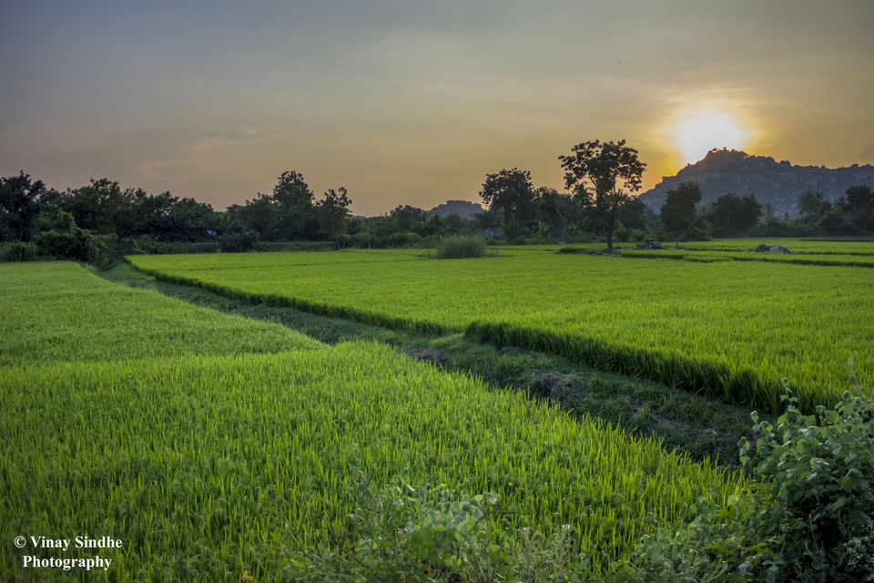 Photo of Sanapur, Karnataka, India by vinay sindhe