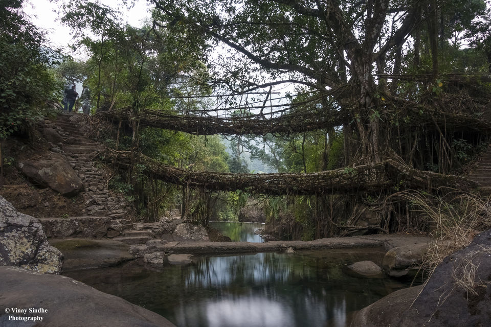 Photo of Meghalaya, India by vinay sindhe