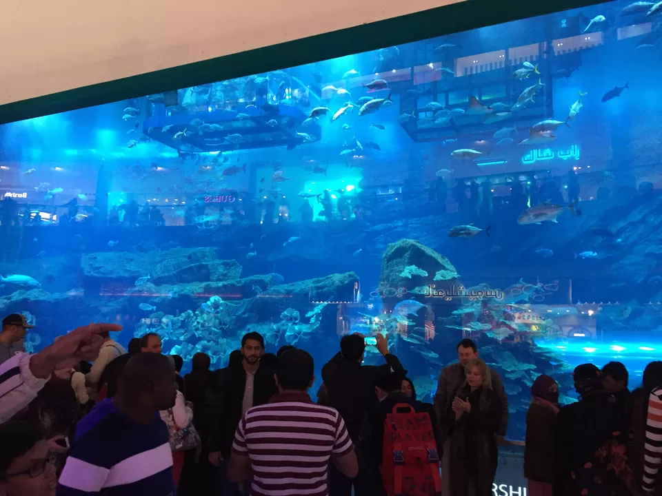 Photo of Mall of the Emirates - Dubai - United Arab Emirates by Shreya WanderLove