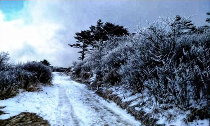 Photo of Sandakphu winter trek by Minakshi Roy