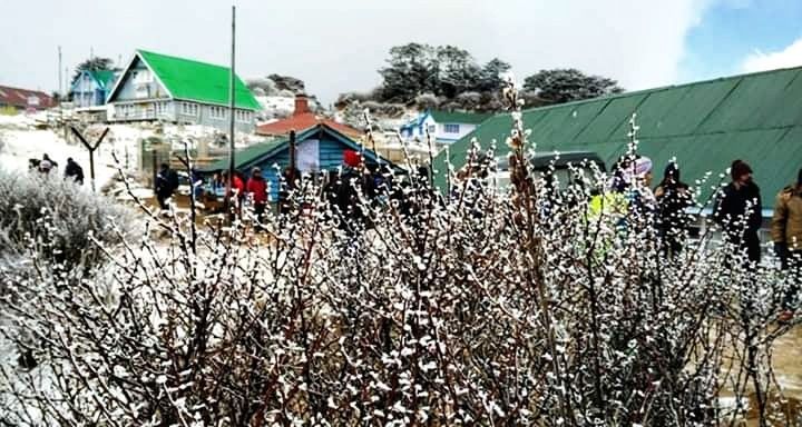 Photo of Sandakphu winter trek by Minakshi Roy