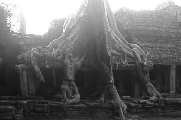 Photo of Winding our way through Vietnam, Laos & Cambodia by Payal