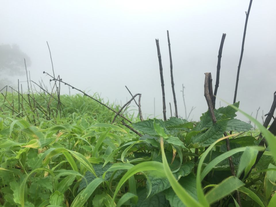 Photo of An Off road bike ride to Rajmachi lonavala! by Bhuvnesh Nigam