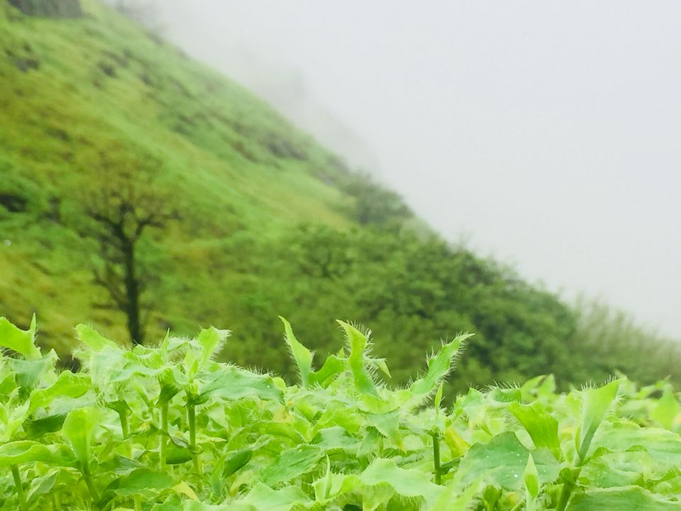 Photo of An Off road bike ride to Rajmachi lonavala! by Bhuvnesh Nigam