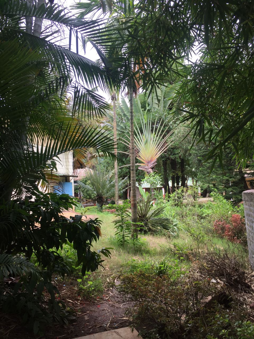Photo of RutuGandh Lakeside Leisure Resort, Pune, Maharashtra, India by Bhuvnesh Nigam