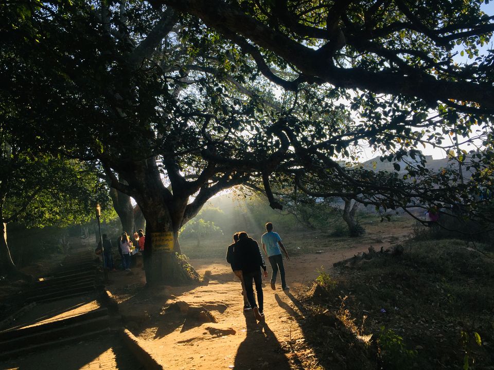 Photo of New year at Nandi hills... 3/15 by Bhuvnesh Nigam