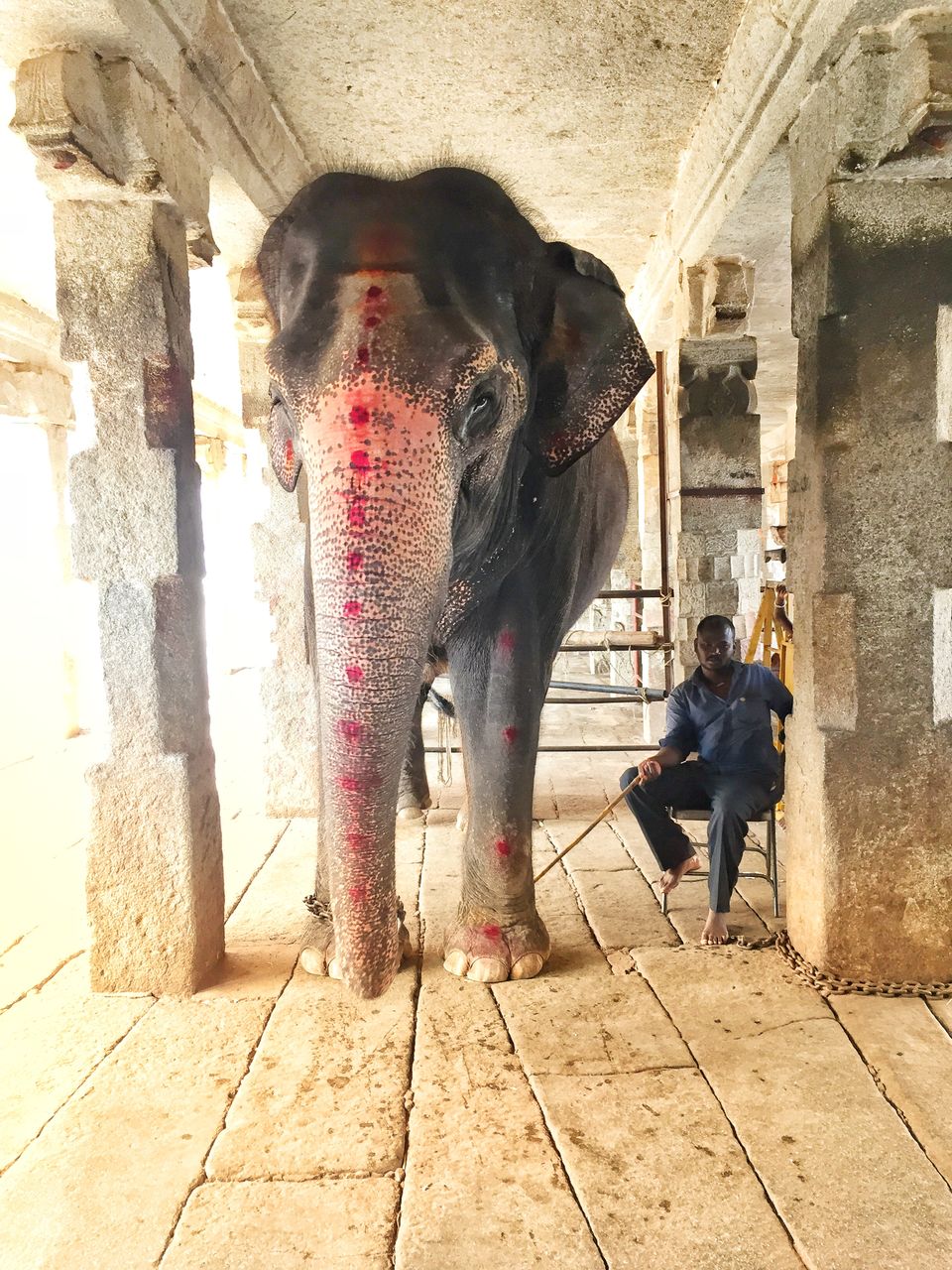 Photo of Backpacking Hampi in 3 days and how you can do the same. by Bhuvnesh Nigam