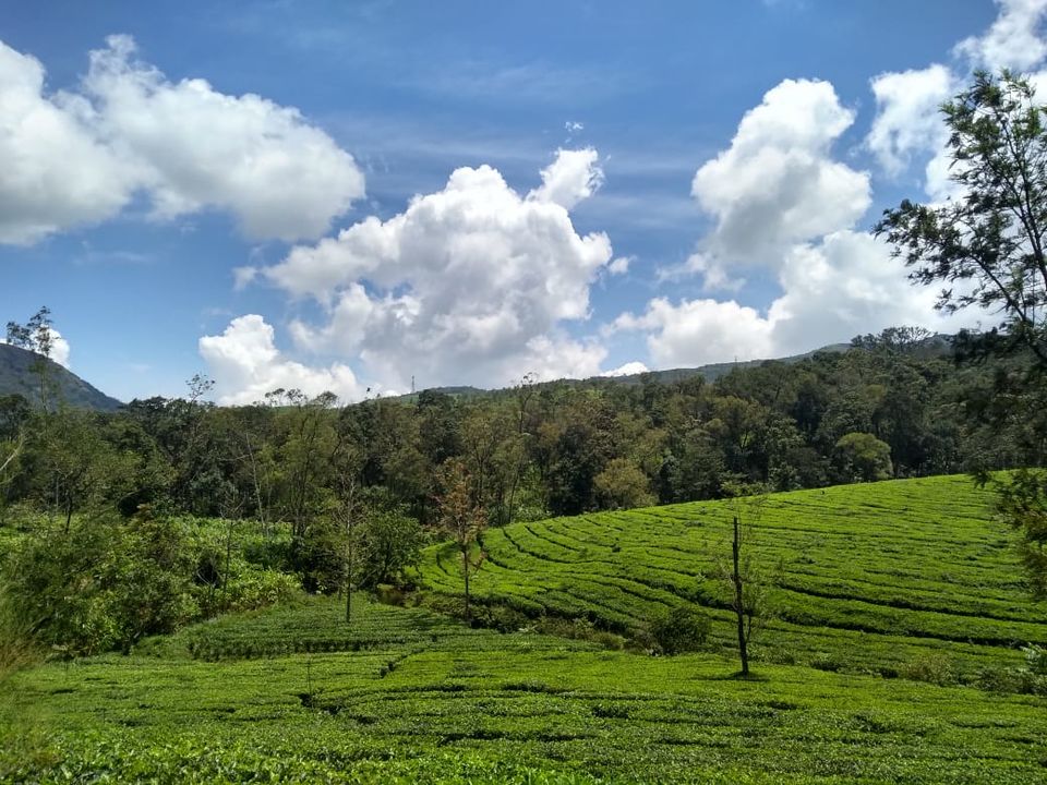 Photo of One day Trip to Vagamon by Shivanshi Sharma
