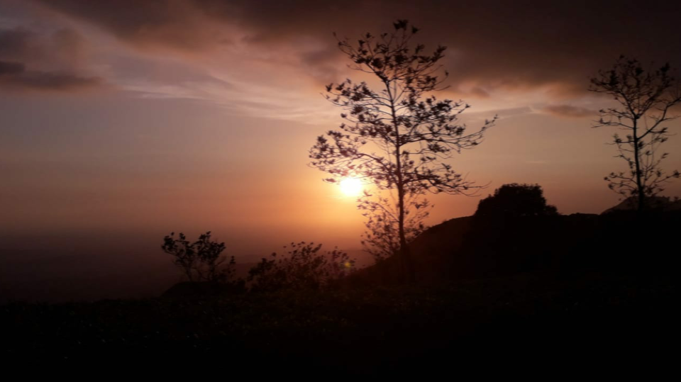 Photo of One day Trip to Vagamon by Shivanshi Sharma