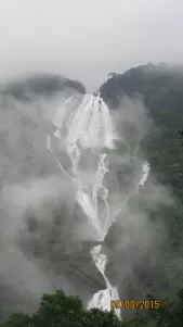 Photo of Dudhsagar Falls, Sonaulim, Goa, India by Shreya