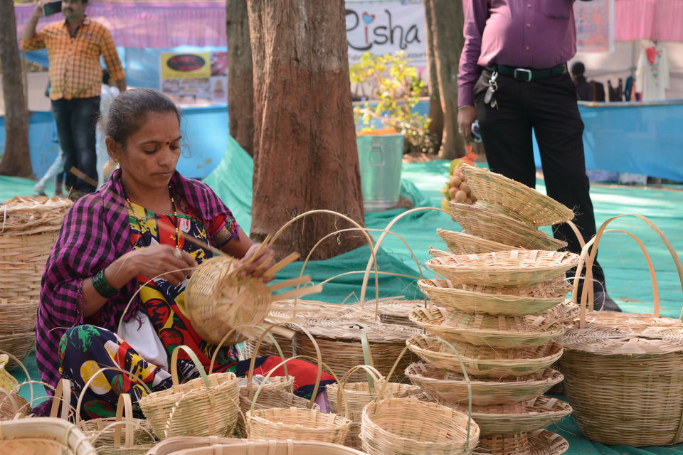 chikoo festival 2016