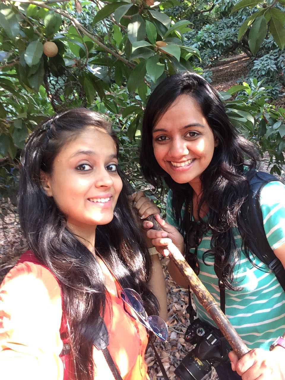 Photo of It’s not just about Chikoos 14/18 by Shreya