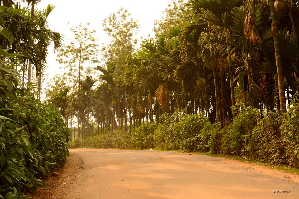 Photo of Why do you Travel? 1/1 by Shreya