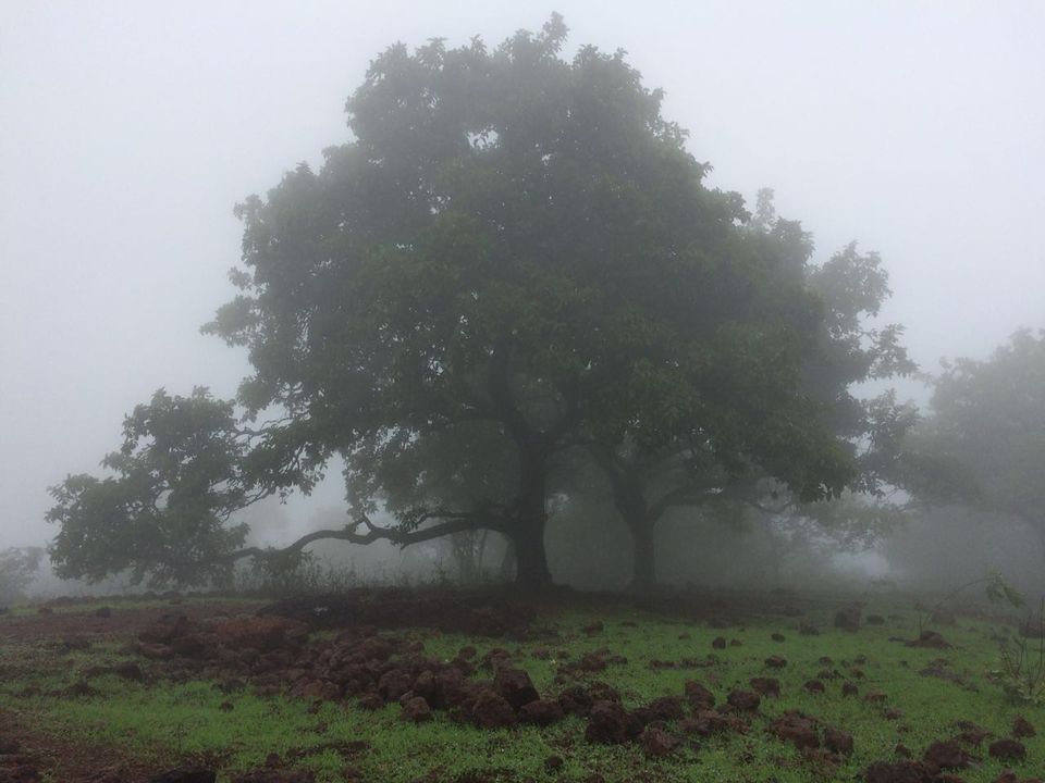Photo of Mahuli, Maharashtra, India by Shreya
